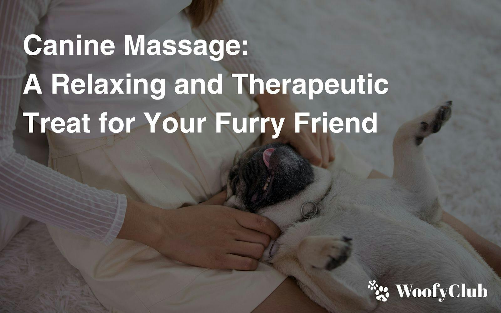 Canine Massage: A Relaxing And Therapeutic Treat For Your Furry Friend