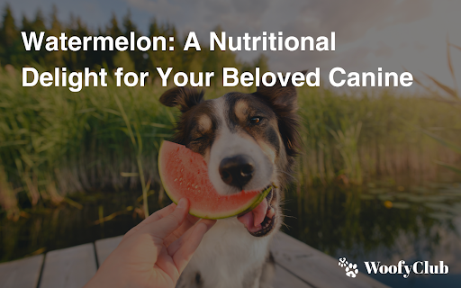 Watermelon: A Nutritional Delight For Your Beloved Canine