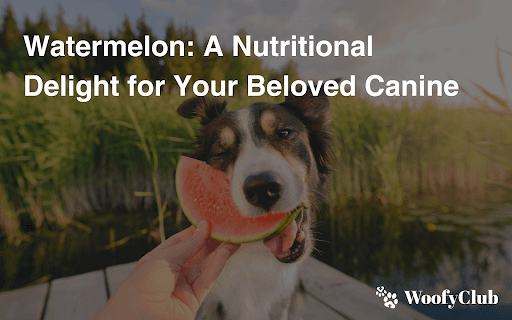 Watermelon: A Nutritional Delight For Your Beloved Canine