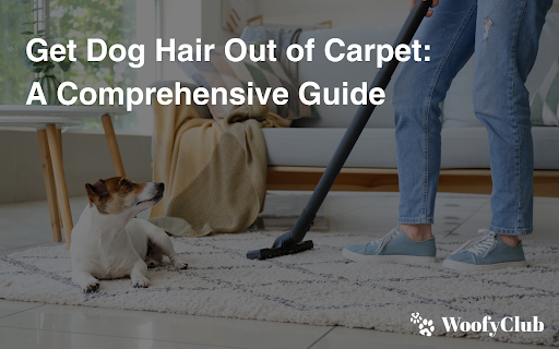 Get Dog Hair Out Of Carpet: A Comprehensive Guide