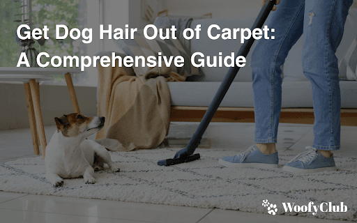 Get Dog Hair Out Of Carpet: A Comprehensive Guide