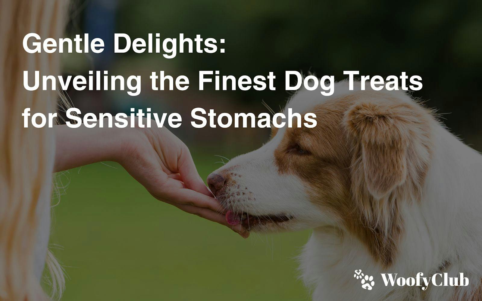 Gentle Delights: Unveiling The Finest Dog Treats For Sensitive Stomachs