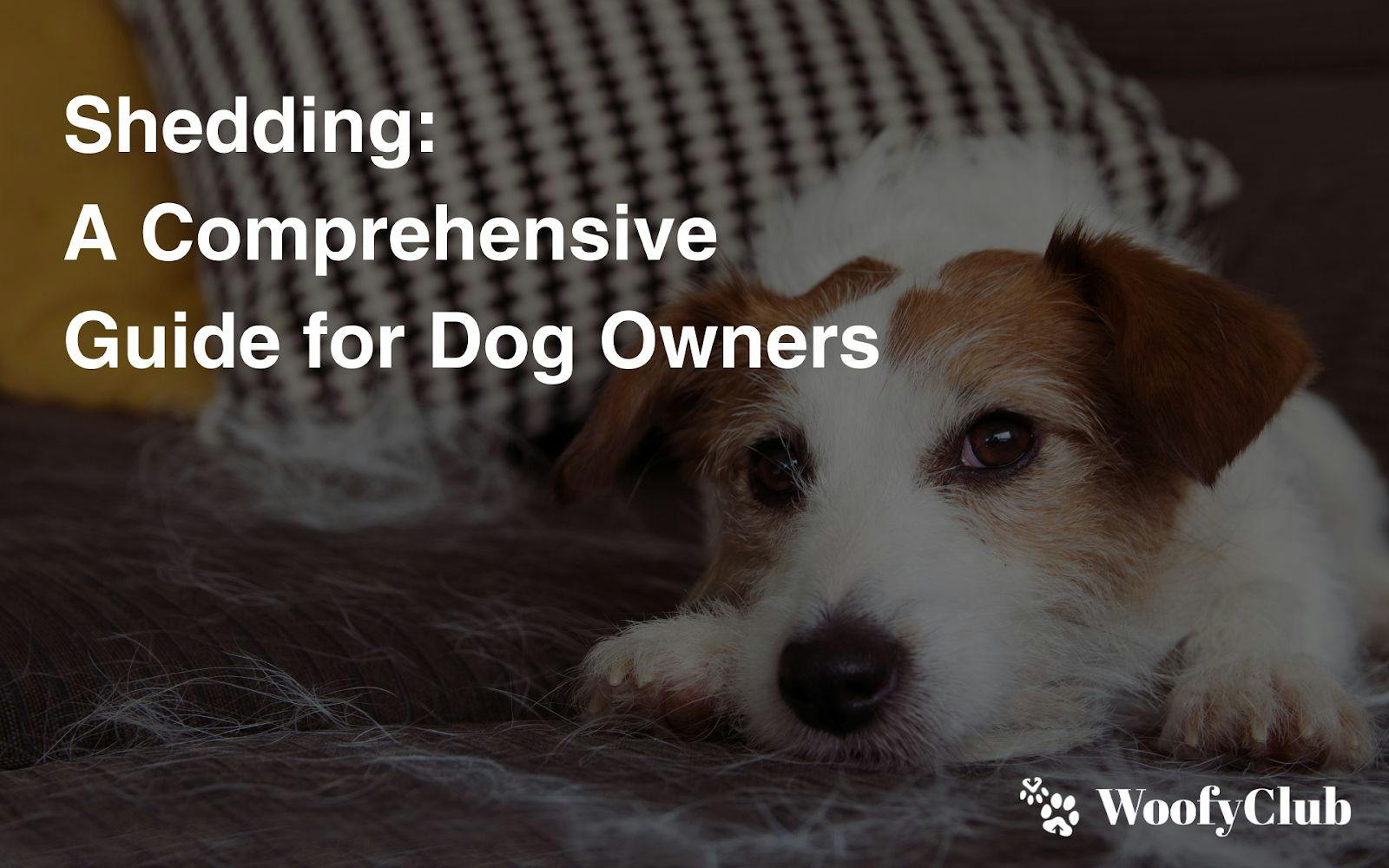 Shedding: A Comprehensive Guide For Dog Owners