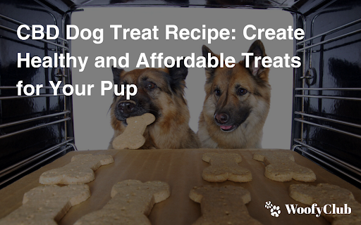 CBD Dog Treat Recipe: Create Healthy And Affordable Treats For Your Pup
