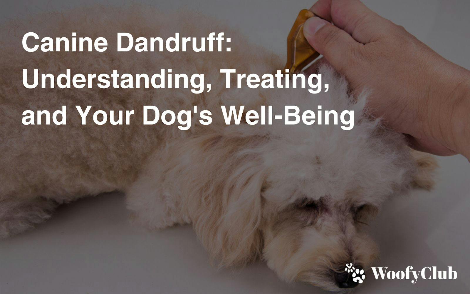 Canine Dandruff: Understanding, Treating, And Your Dog's Well-Being