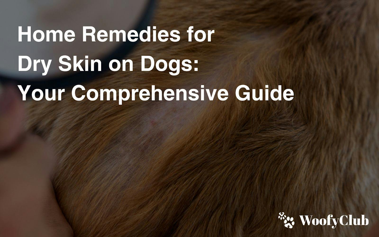 Home Remedies For Dry Skin On Dogs: Your Comprehensive Guide