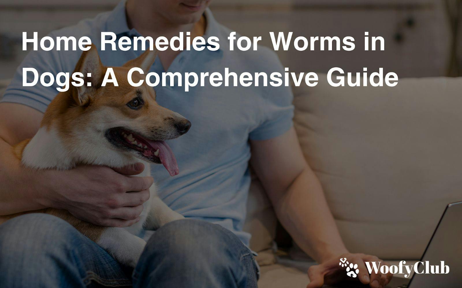 Home Remedies For Worms In Dogs: A Comprehensive Guide