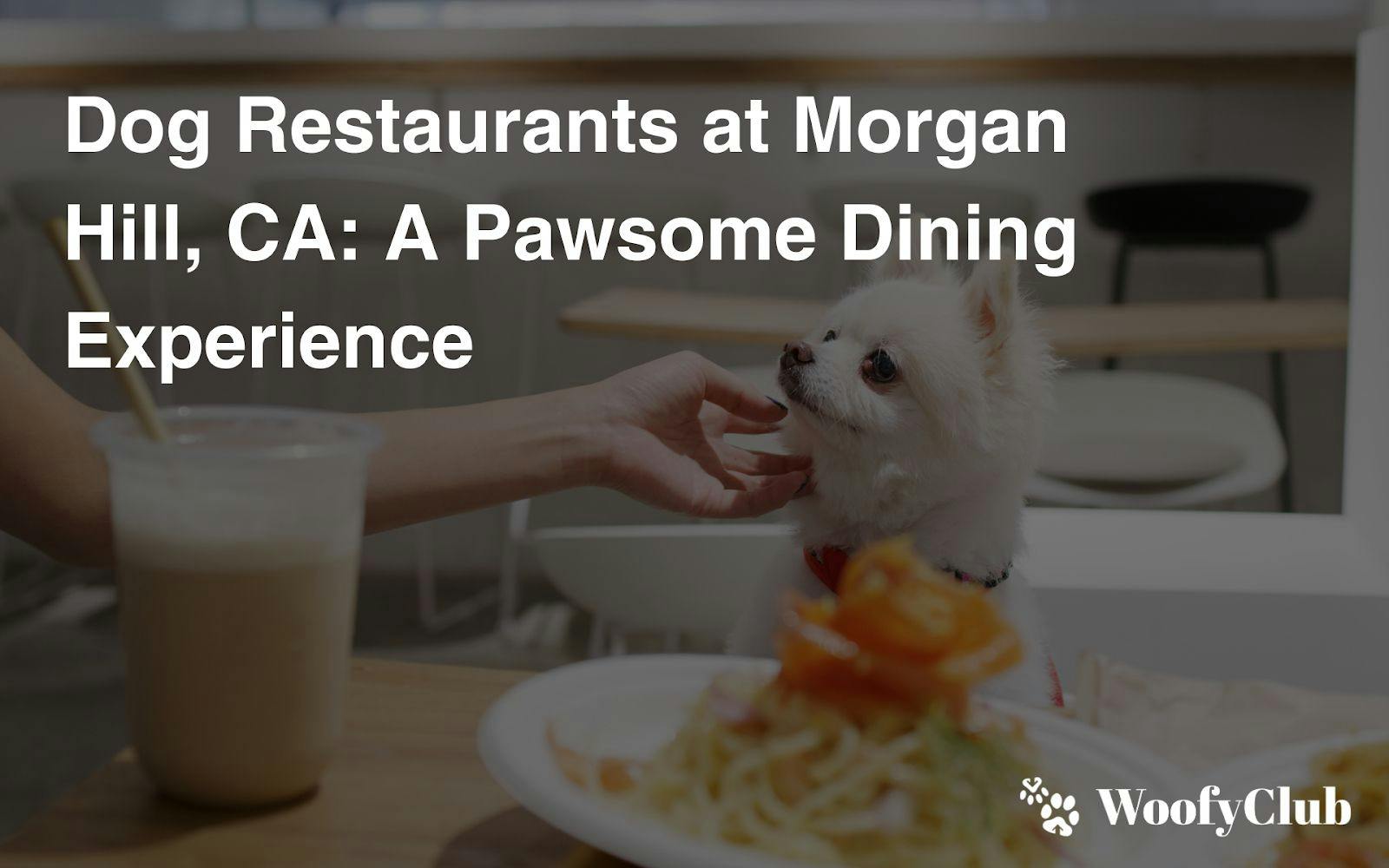 Dog Restaurants At Morgan Hill, CA: A Pawsome Dining Experience