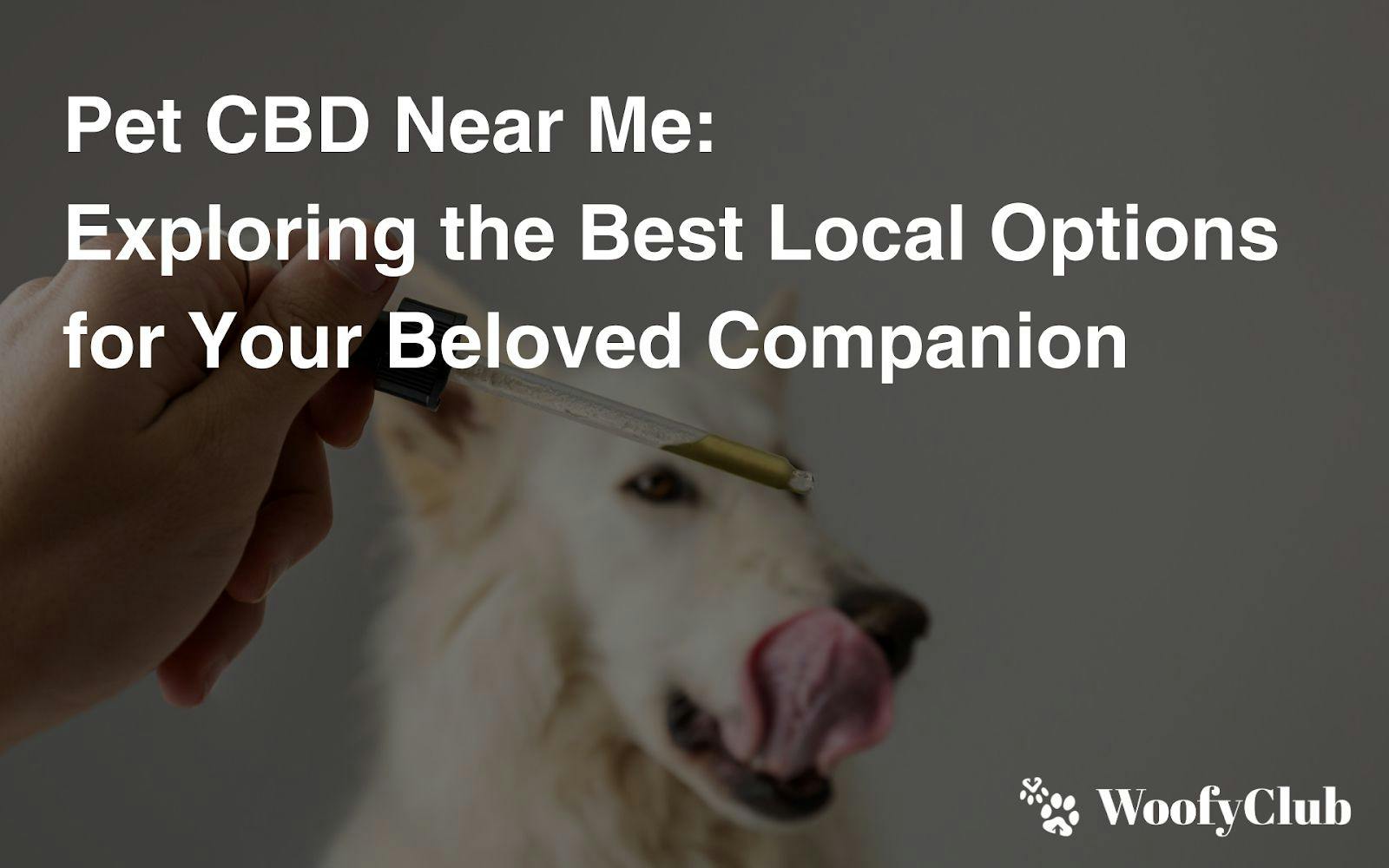 Pet CBD Near Me: Exploring The Best Local Options For Your Beloved Companion