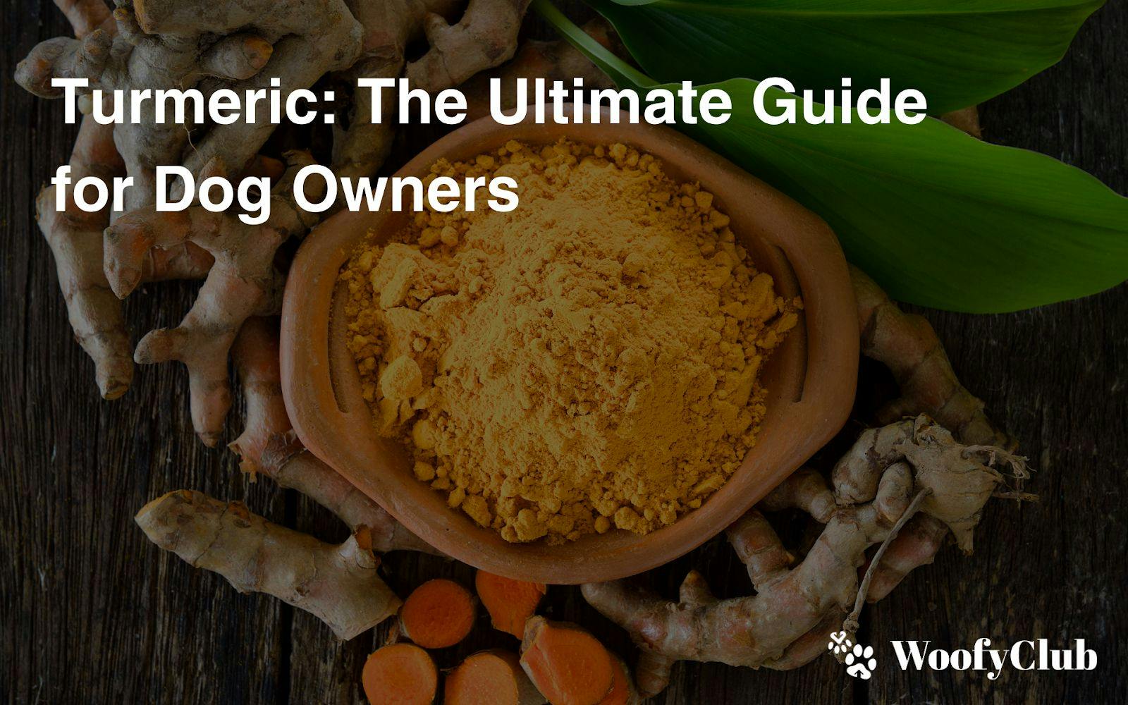 Turmeric: The Ultimate Guide For Dog Owners
