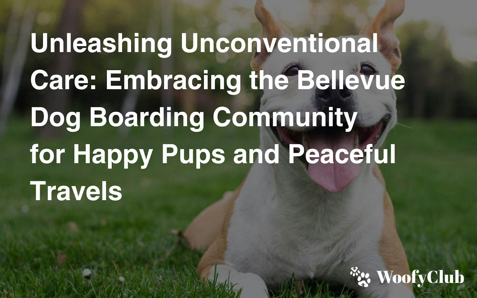 Unleashing Unconventional Care: Embracing The Bellevue Dog Boarding Community For Happy Pups And Peaceful Travels