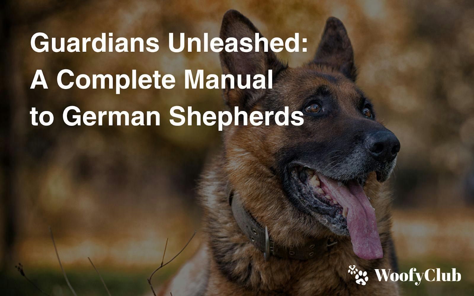 Guardians Unleashed: A Complete Manual to German Shepherds