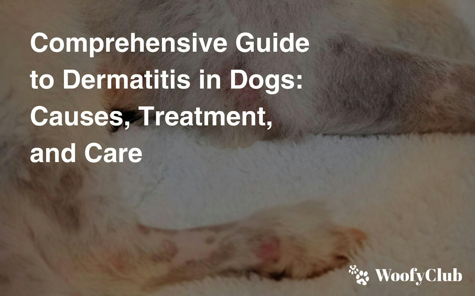 Comprehensive Guide To Dermatitis In Dogs: Causes, Treatment, And Care