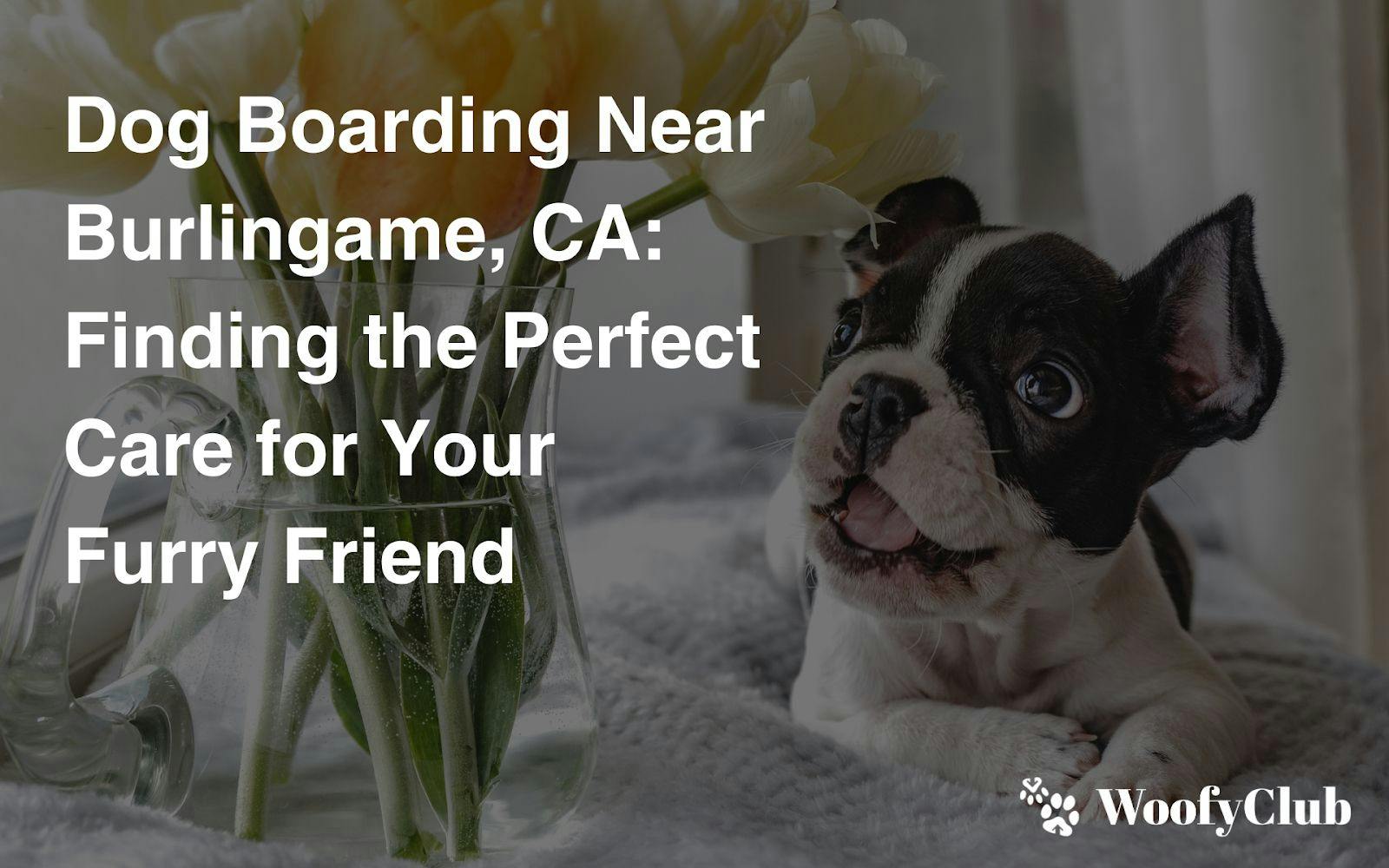 Dog Boarding Near Burlingame, CA: Finding The Perfect Care For Your Furry Friend