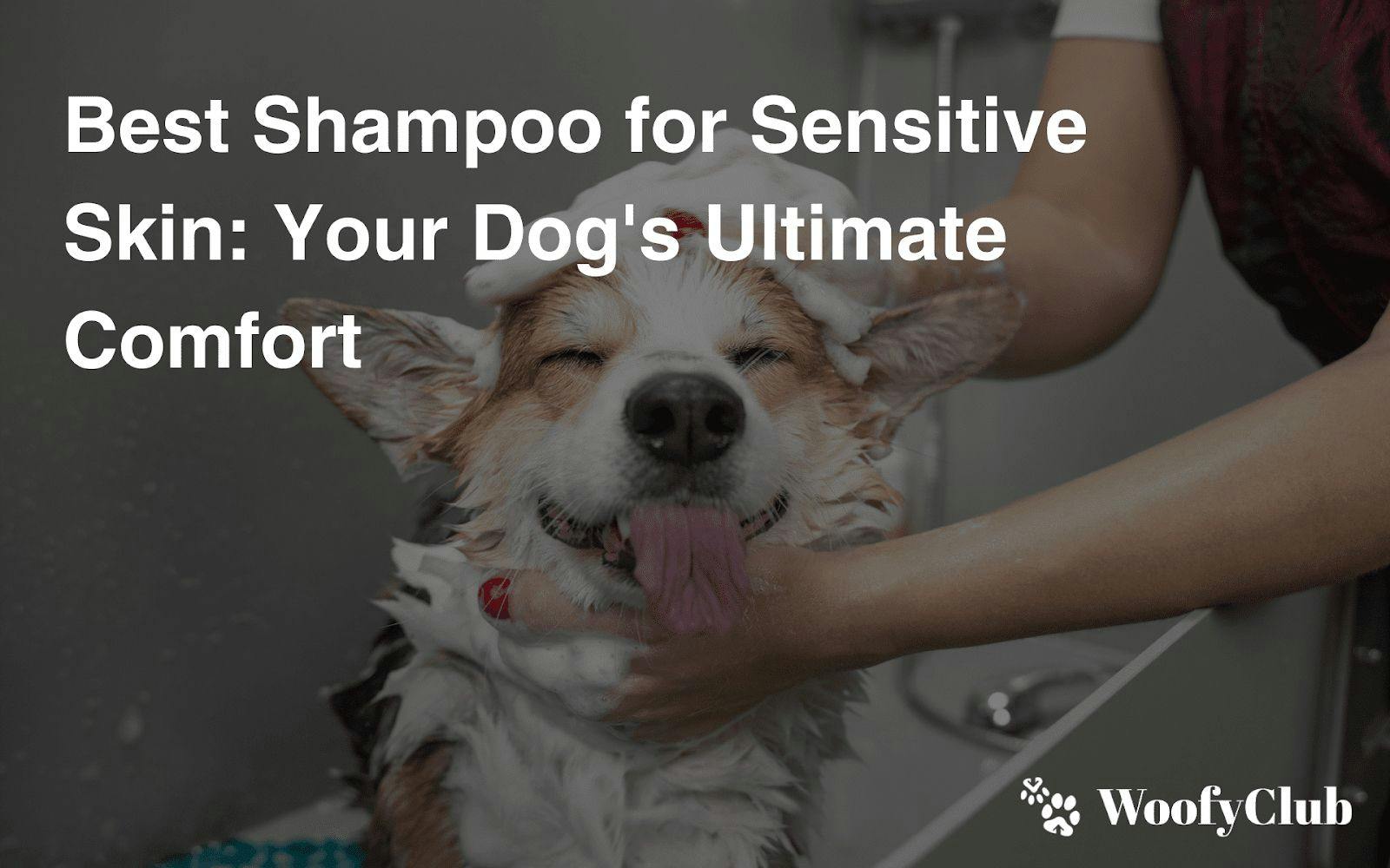 Best Shampoo For Sensitive Skin: Your Dog's Ultimate Comfort