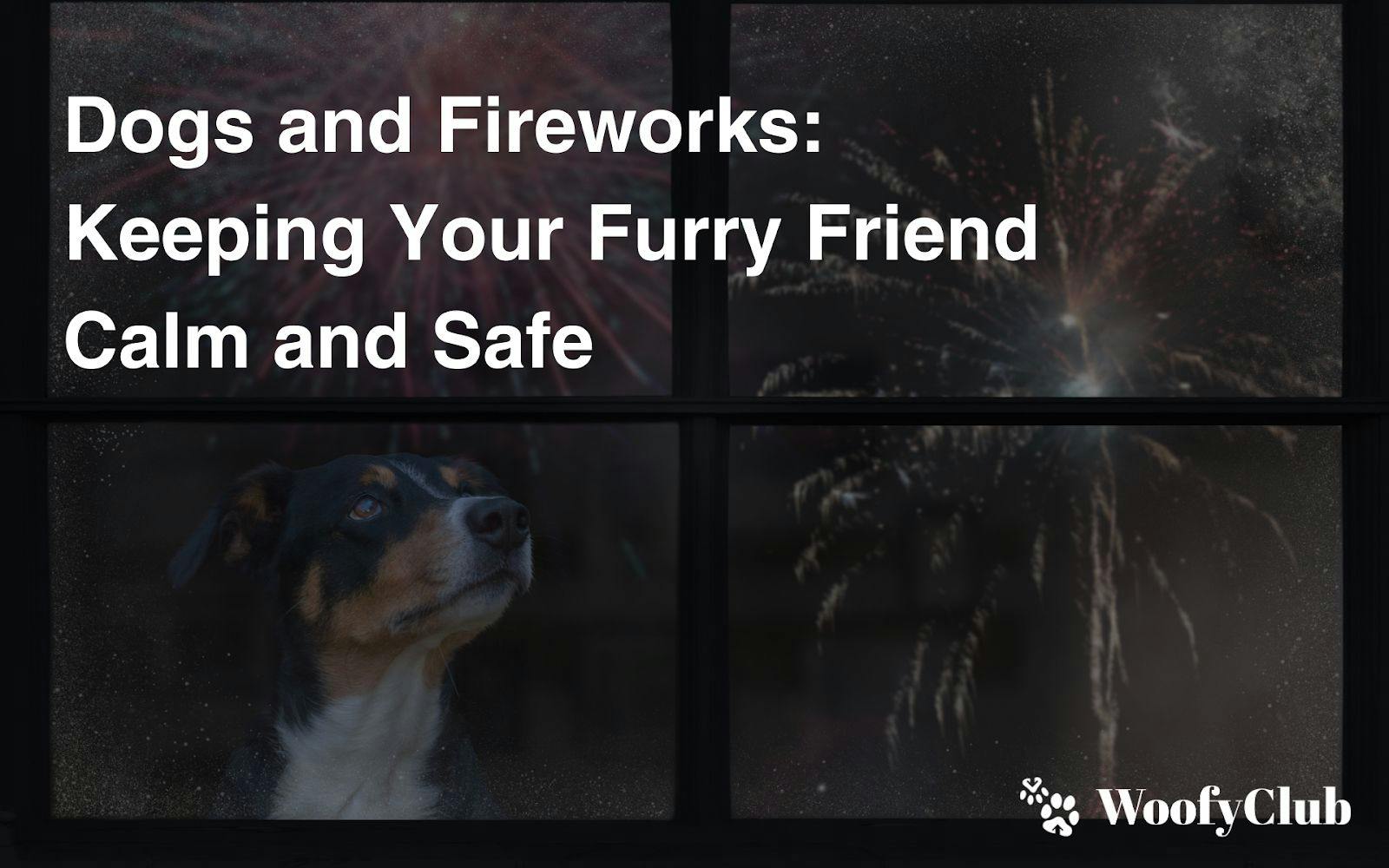 Dogs And Fireworks: Keeping Your Furry Friend Calm And Safe