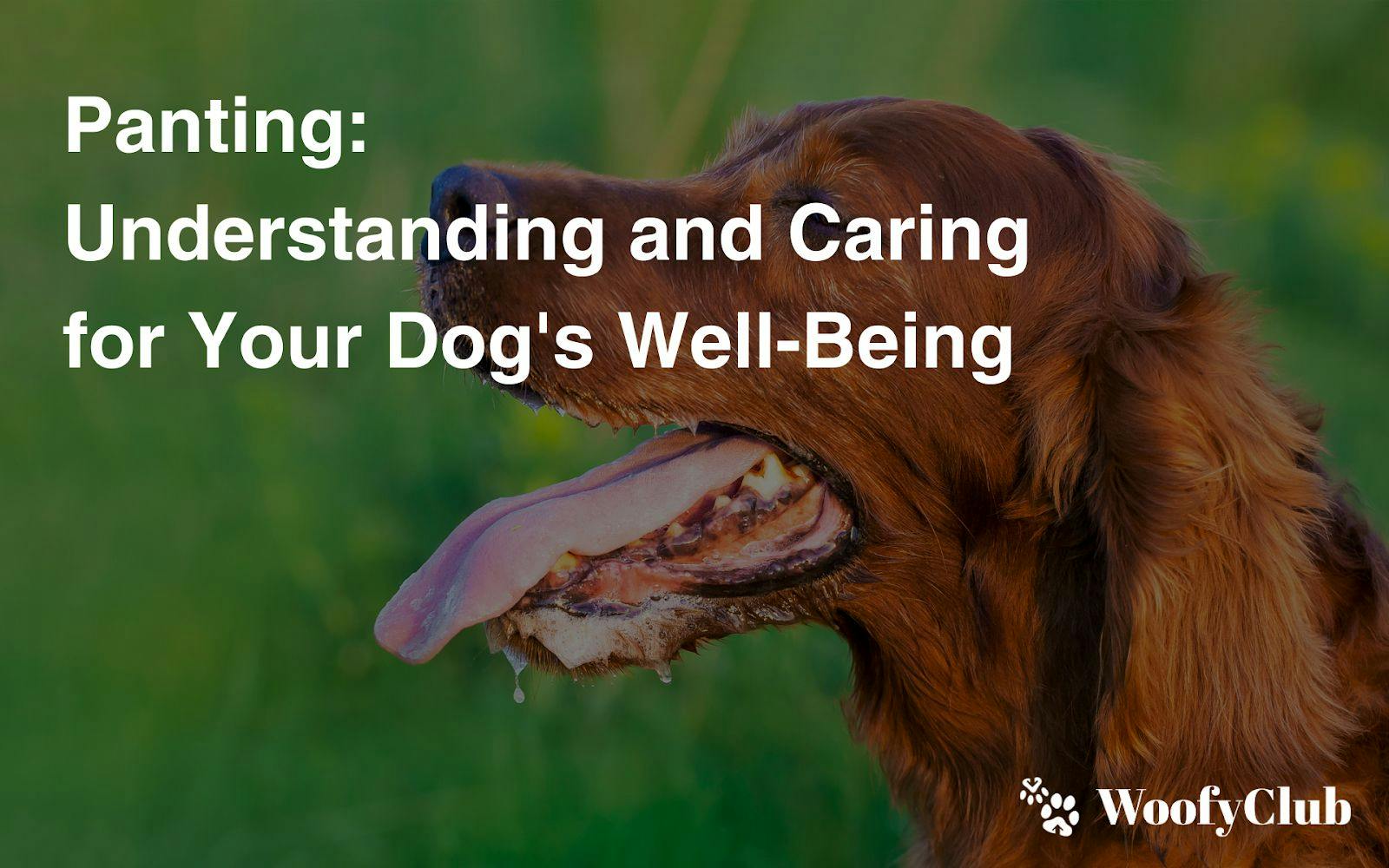 Panting: Understanding And Caring For Your Dog's Well-Being